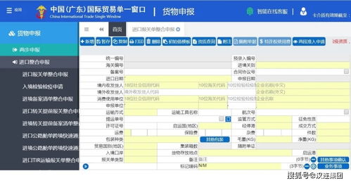 进出口货物申报管理及操作指引——以货物进出口为中心