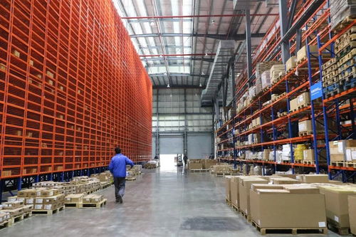 智造工厂物流新范式 柏中公司展示货物进出口全流程优化